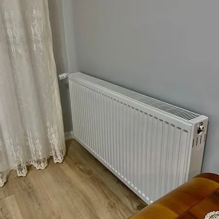 جميلة بإطلالة مفتوحة على المدينة Gumus Park Apartman